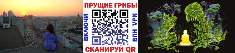 дарк нет телеграм Макушино Псилоцибиновые грибы MAGIC MUSHROOMS MEGA ТОР